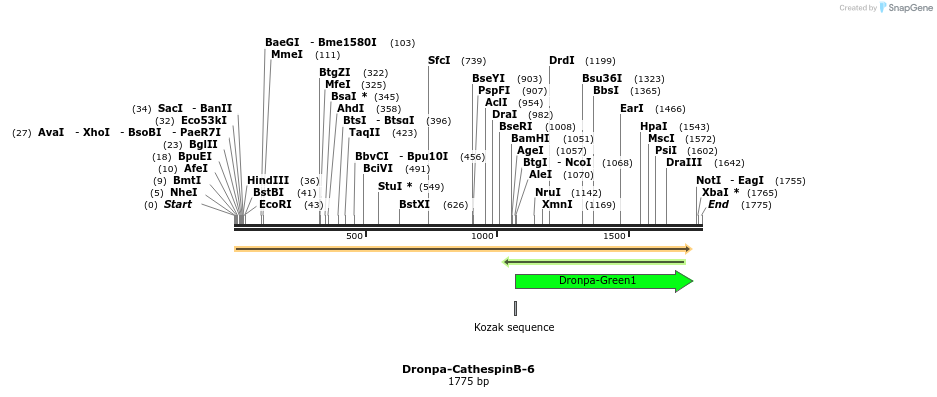 88403_map