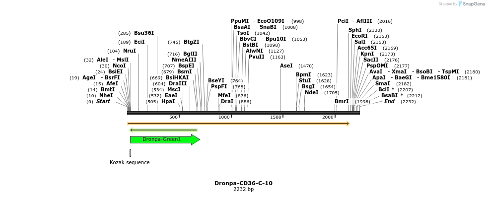 88406_map