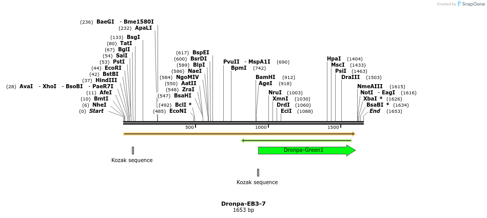 88407_map