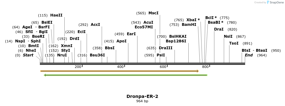 88408_map