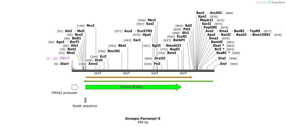 88410_map