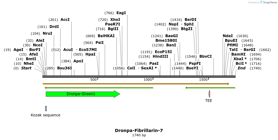 88411_map
