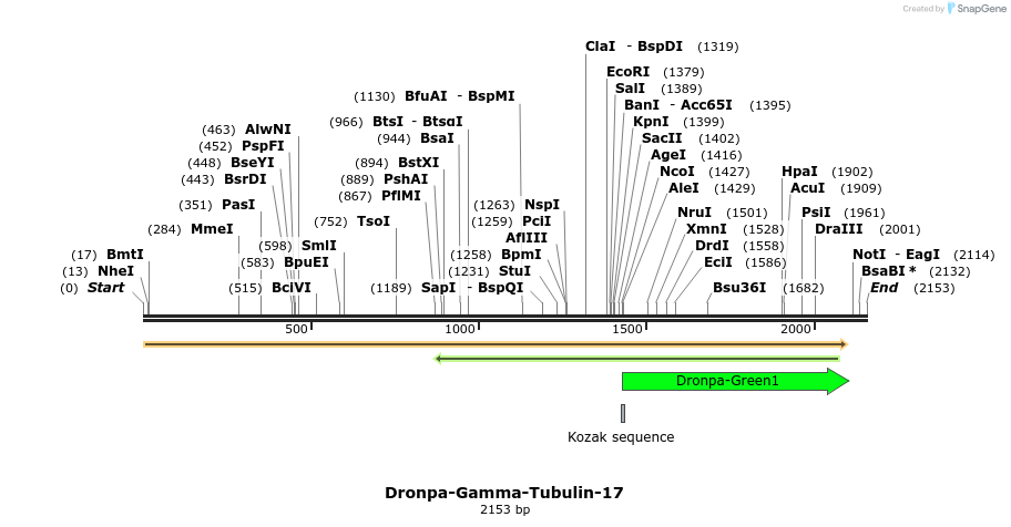 88413_map