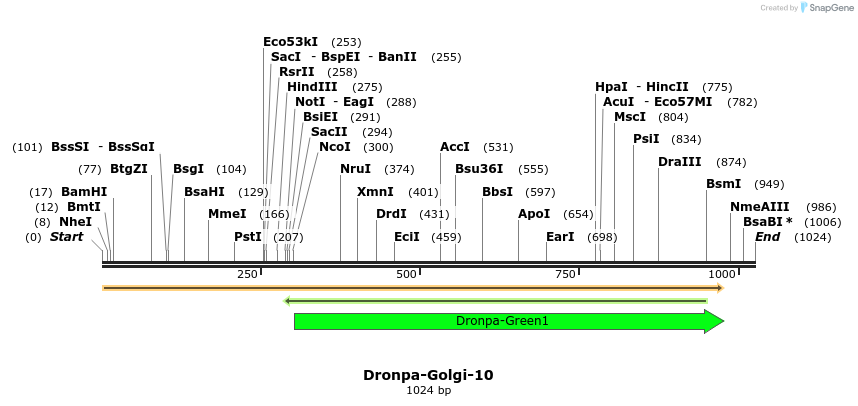 88414_map