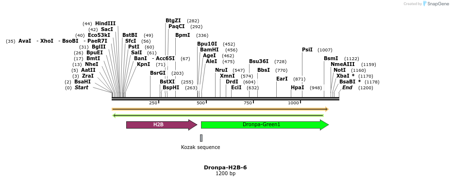 88415_map