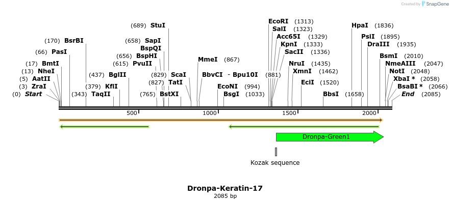 88419_map