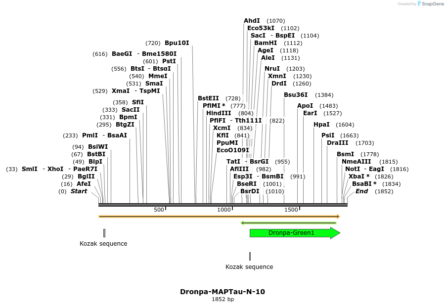 88424_map