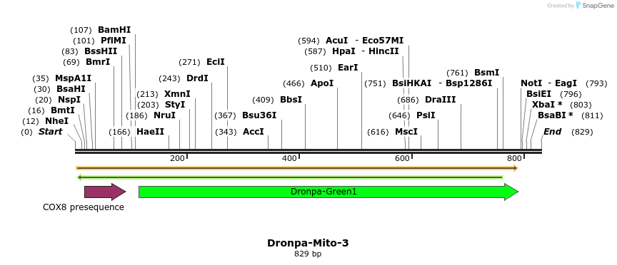 88425_map