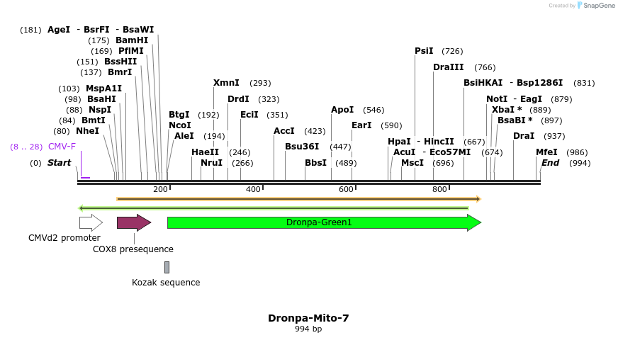 88426_map