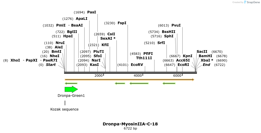 88427_map