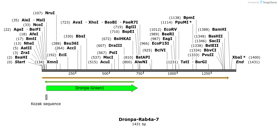 88432_map