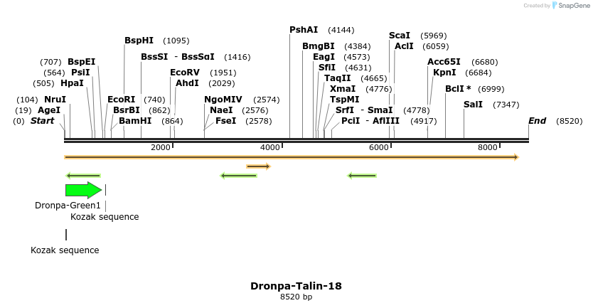 88435_map