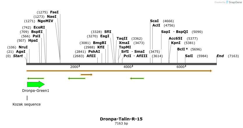 88437_map