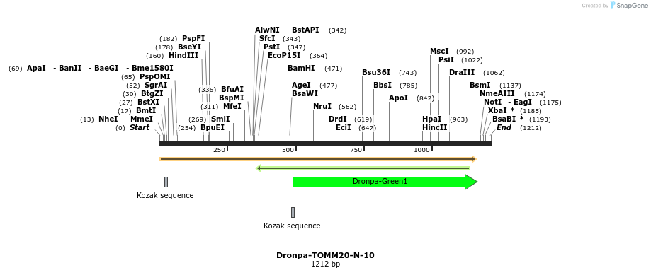 88438_map