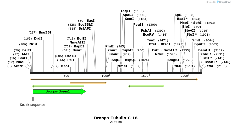 88440_map