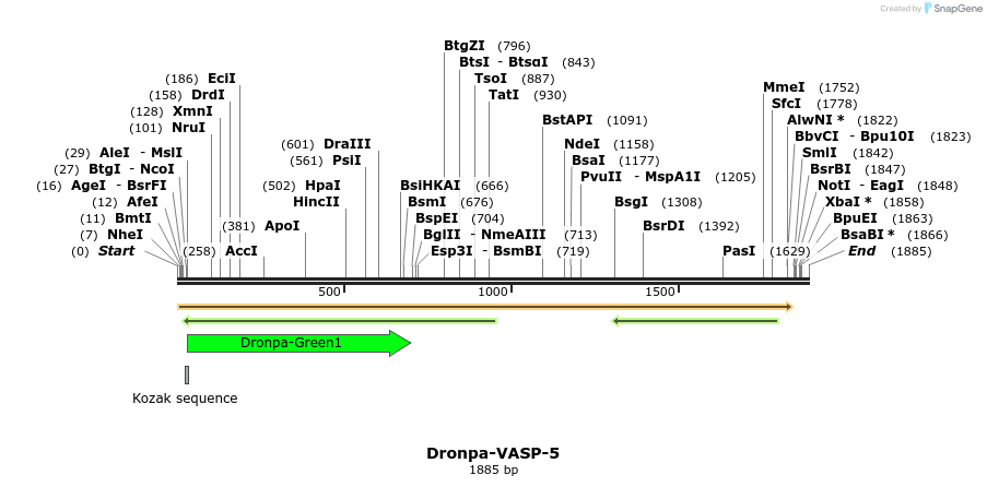 88441_map