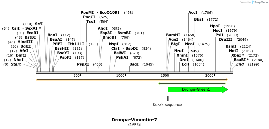88443_map