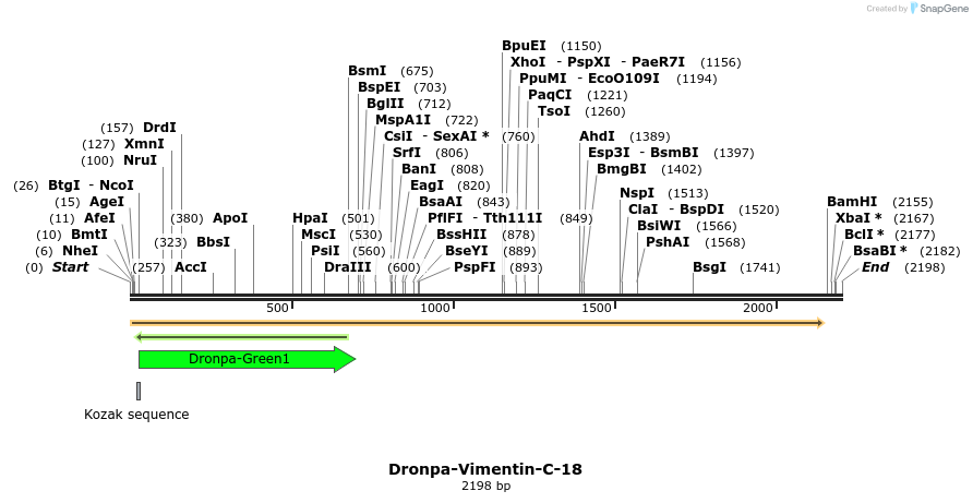 88444_map