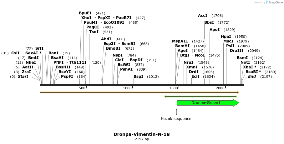88445_map