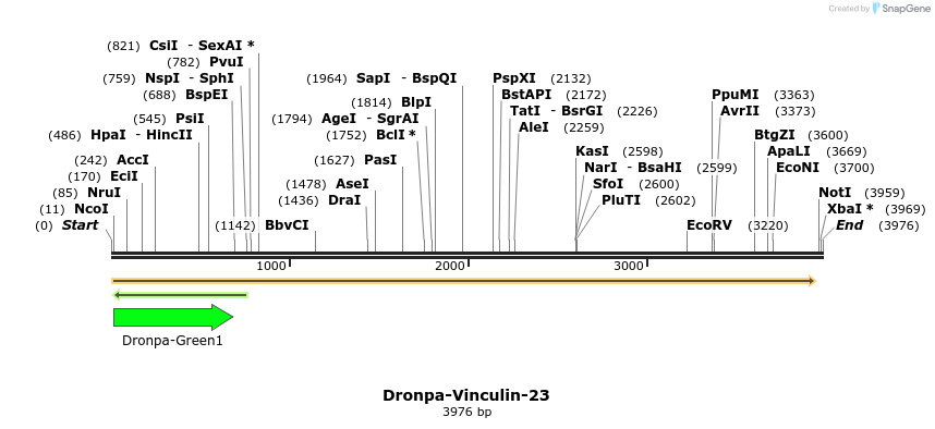88446_map