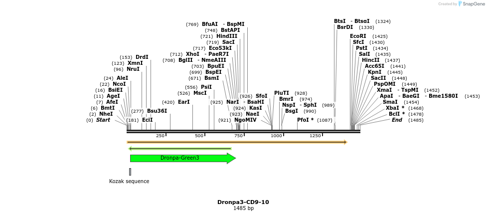 88448_map