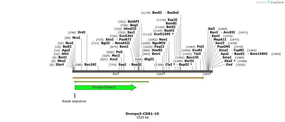 88449_map