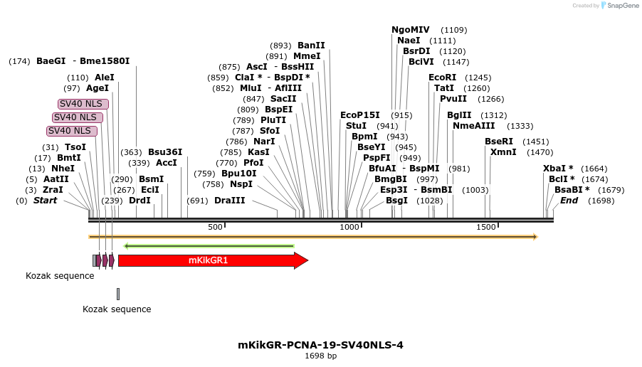 88459_map