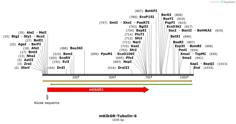 88461_map