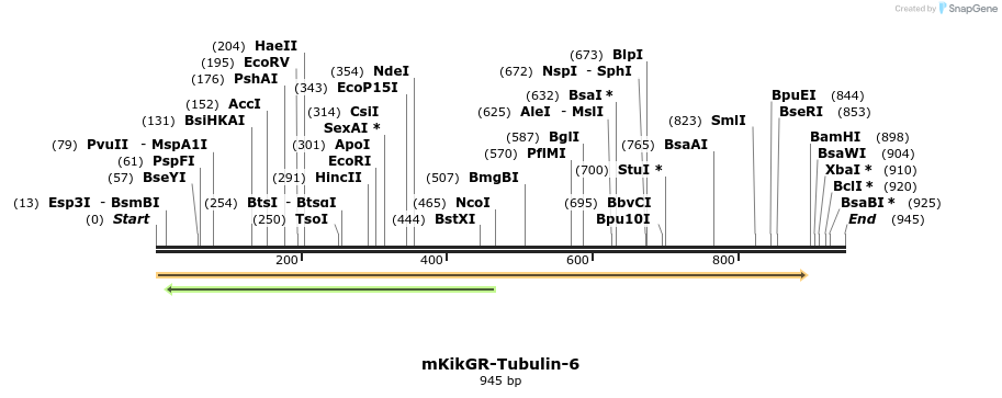88462_map