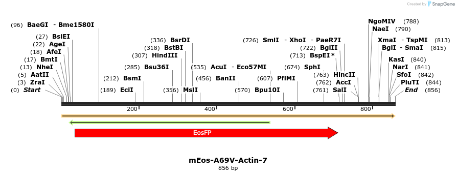 88466_map