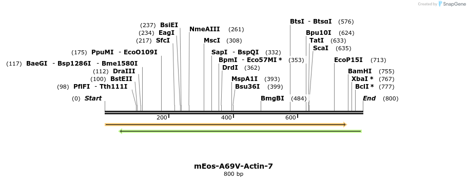 88467_map