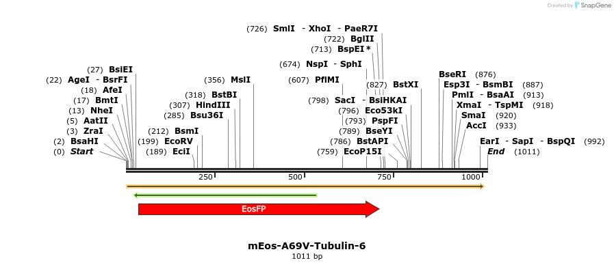 88468_map