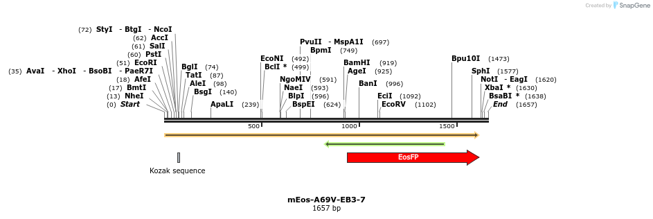 88471_map