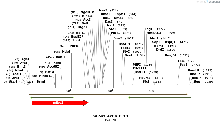 88475_map