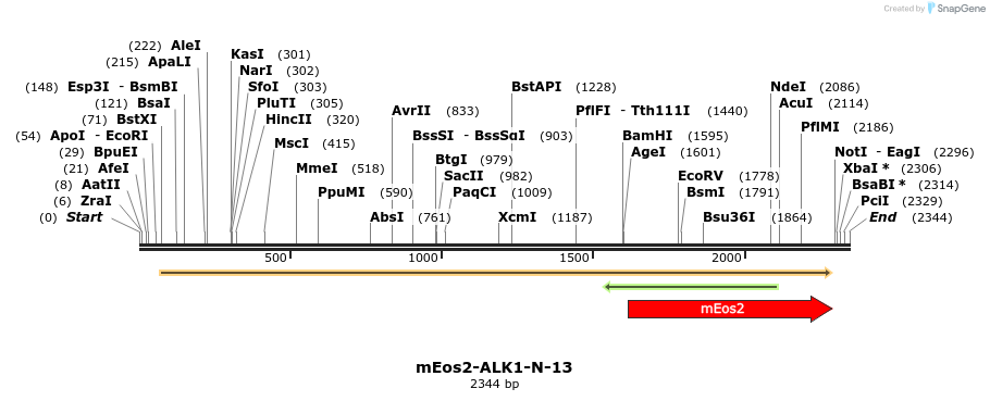 88477_map