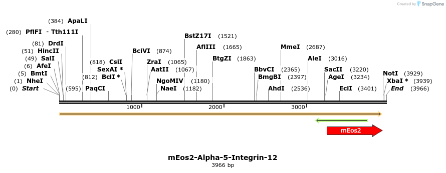 88480_map