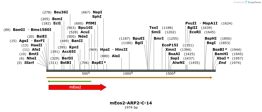 88484_map