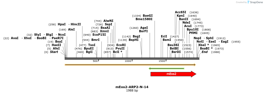 88485_map