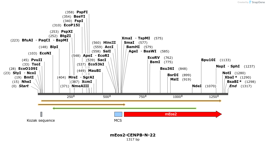 88495_map