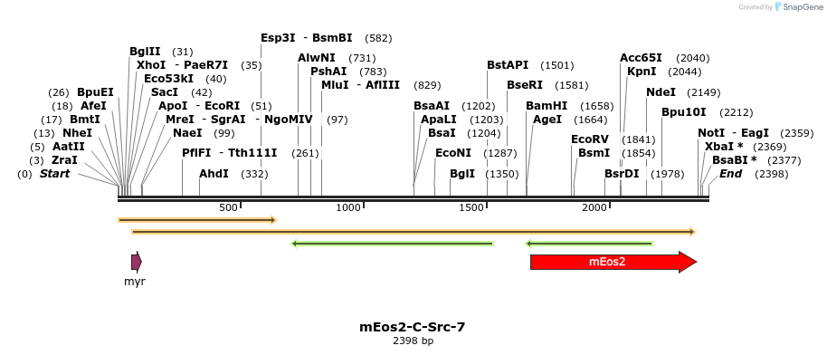 88498_map