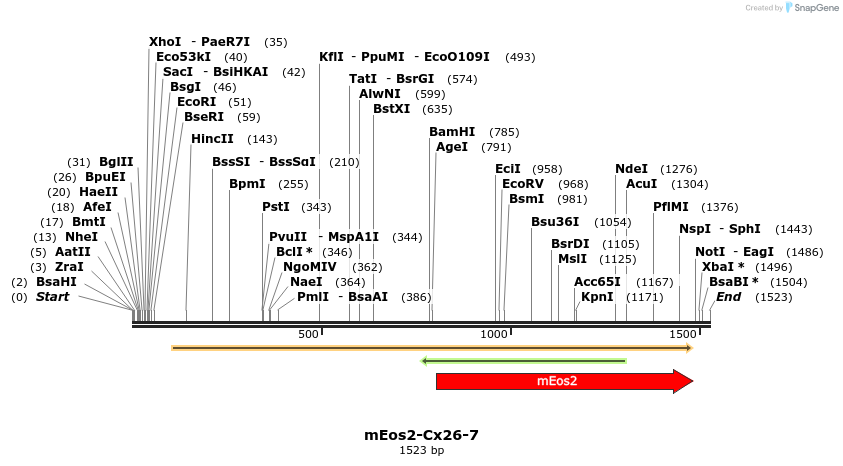88499_map