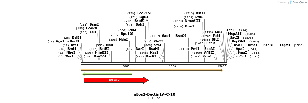 88502_map