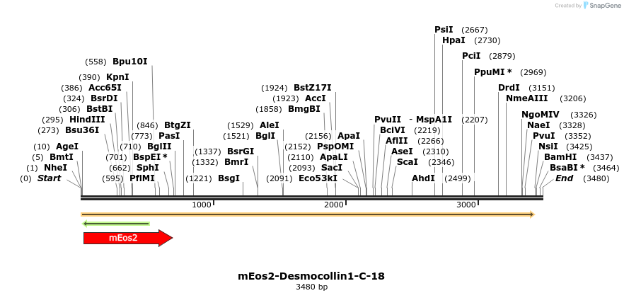 88504_map