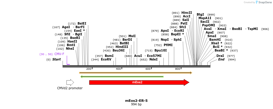 88507_map