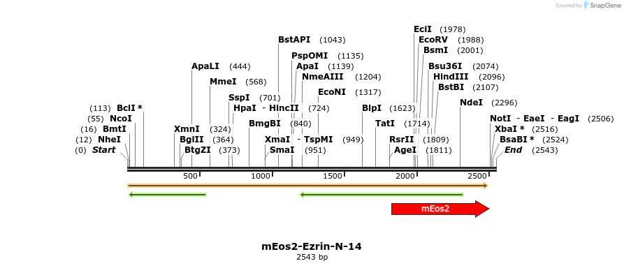 88508_map