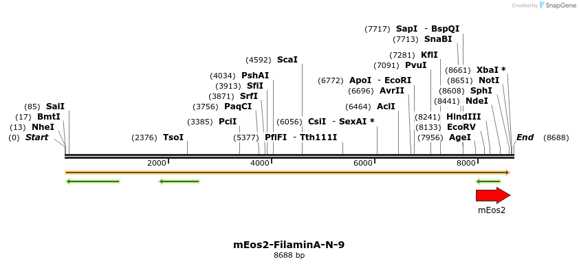 88513_map