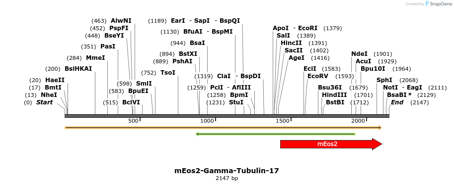 88515_map