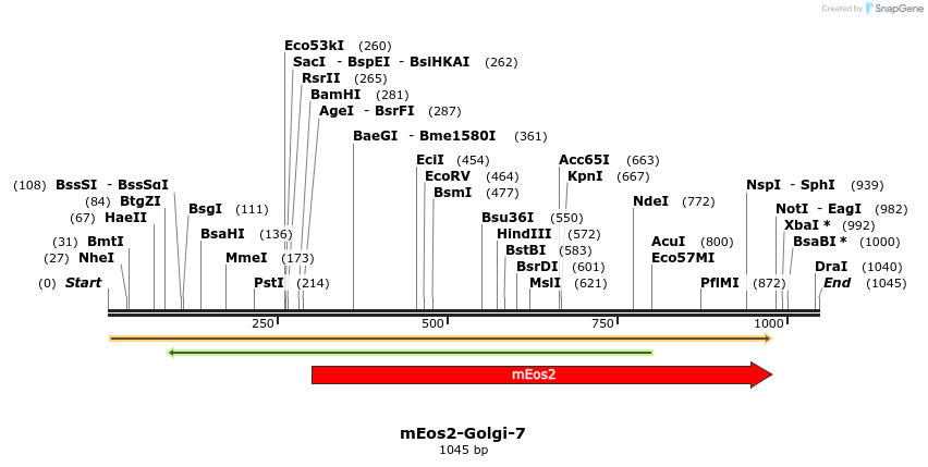 88516_map