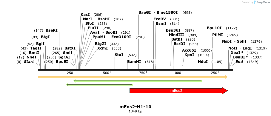 88517_map