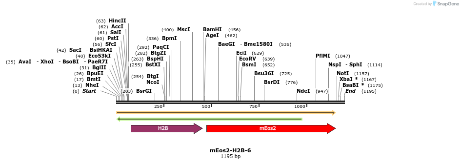 88518_map